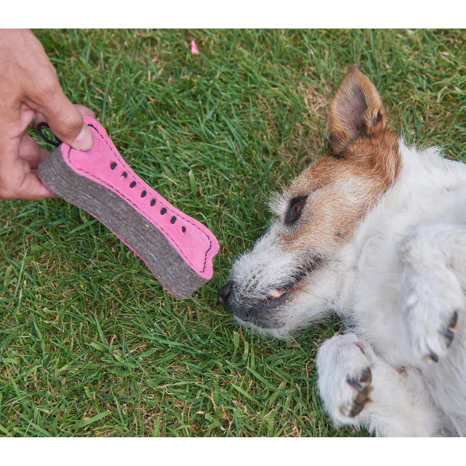 Green & Wilds Pinkie Bone with dog