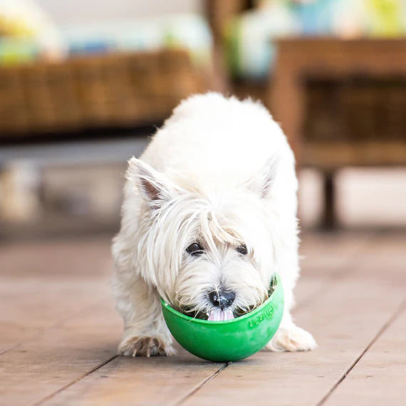 Lickimat Wobble enrichment slow feeder bowl boredom buster for dogs