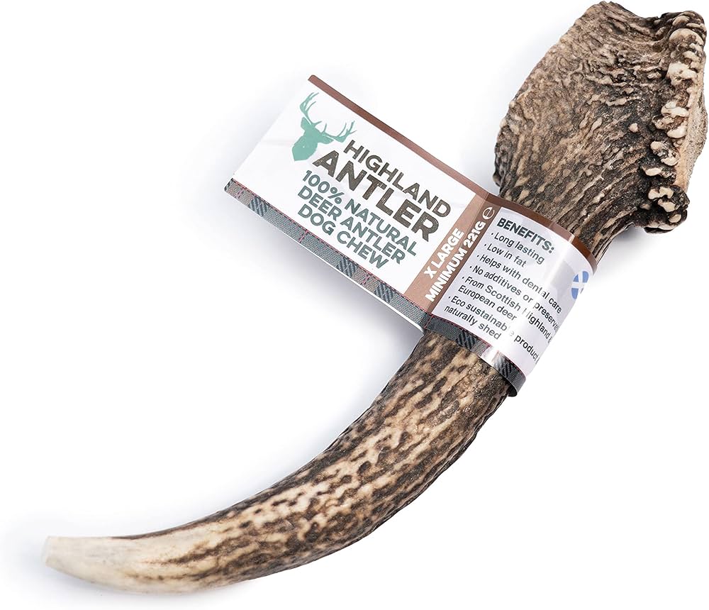 Premium Highland Antler dog chew