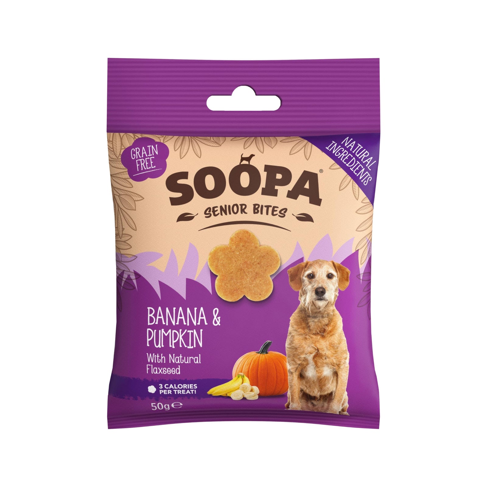 Banana and pumpkin healthy treats for senior dogs