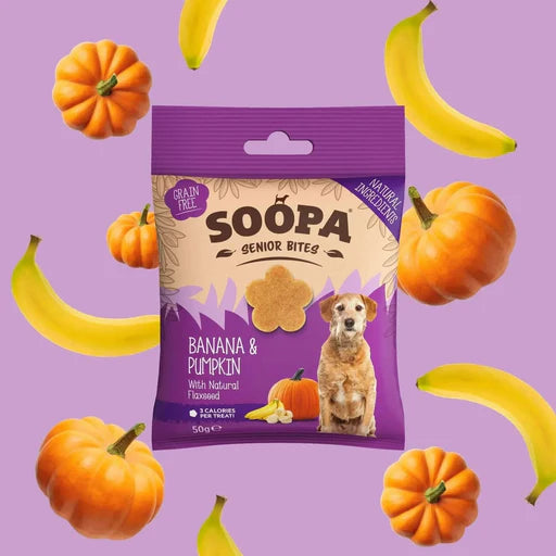 Banana and pumpkin healthy treats for senior dogs