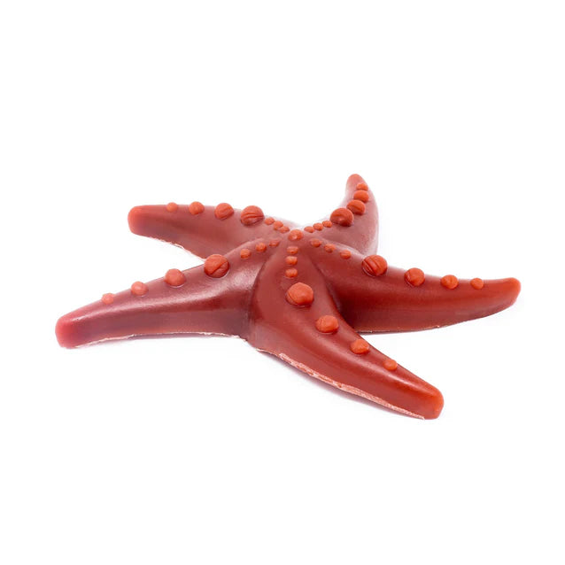 Apple and Mint Starfish Dog Chew - Low Fat Vegetable-Based Dental Treat